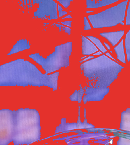 dux-snowglobe.jpg