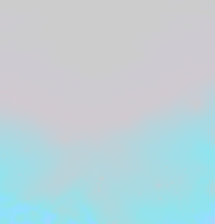 dux-turq.jpg